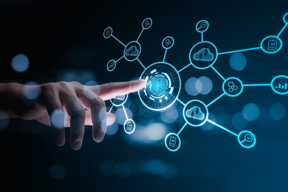digital-transformation-red-beach-advisors
